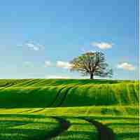 最﻿好​的‌html5开​发‍工﻿具​